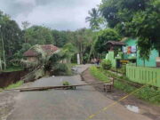 Imbas Jalan Ambles dan Longsor, SDN 2 Parungponteng Tasikmalaya Diliburkan Imbas-Jalan-Ambles-dan-Longsor-SDN-2-Parungponteng-Tasikmalaya-Diliburkan.jpg