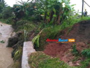 Jalan Nambo-Gunungcupu Ciamis Terancam Longsor, Bahayakan Pengguna Jalan Jalan-Nambo-Gunungcapu-Terancam-Longsor.jpg