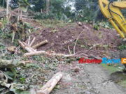 Jalan Desa dan 2 Rumah di Pangandaran Tertimbun Longsor Jalan-desa.jpg