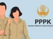 Kapan Seleksi PPPK 2022 Dibuka? Simak Jadwal dan Cara Daftar Kapan-Seleksi-PPPK-2022-Dibuka.jpeg