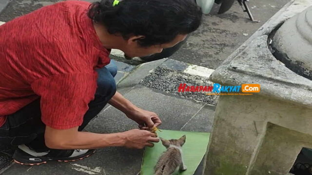 Kisah-Haru-Wartawan-Tasikmalaya-Tolong-Kucing-Terlantar.jpg