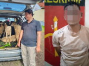 Komplotan Maling Domba yang Dibekuk di Ciamis Beraksi di 3 Kabupaten/Kota Komplotan-Maling-Domba-yang-Dibekuk-Polisi.jpg