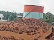 Mesin Rebus Pabrik Kelapa Sawit di Bengkulu Meledak, 2 Tewas Mesin-Rebus-Pabrik-Kelapa-Sawit-di-Bengkulu-Meledak.jpg