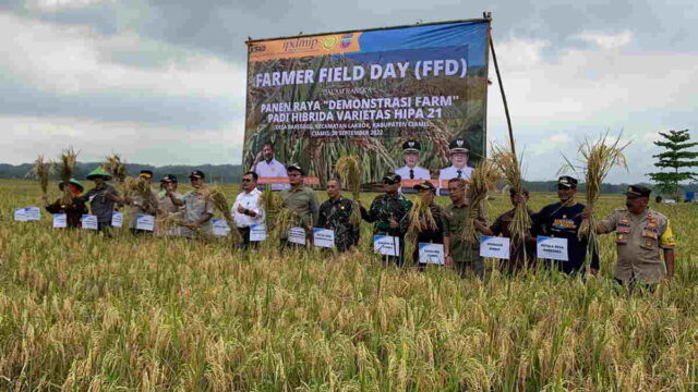 Panen-Raya-di-Lakbok-Ciamis-Hasil-Meningkat-dengan-Padi-Hibrida.jpeg