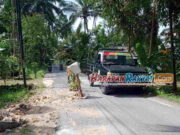 Protes Jalan Berlubang, Warga Parigi Pangandaran Tanam Pohon Pisang Protes-Jalan-Berlubang-Warga-Parigi-Pangandaran-Tanam-Pohon-Pisang.jpg