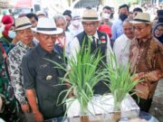 Panen Benih Padi di Subang, Kang Emil Dorong Mekanisasi Pertanian Ridwan-Kamil-Ruhimat.jpg