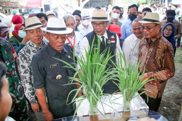 Ridwan-Kamil-Ruhimat.jpg