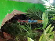 Tanah Longsor Terjang Sukamantri Ciamis, 4 Rumah Rusak Tanah-Longsor-Terjang-Sukamantri-Ciamis.jpg