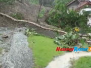 Tebing Longsor Tutup Jalan di Pangandaran, Warga Minta Alat Berat Turun Tebing-Longsor-Tutup-jalan.jpg