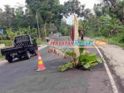 Warga Pangandaran Tanam Pohon Pisang di Jalan Nasional yang Rusak, Ini Alasannya Warga-Pangandaran-Tanam-Pohon-Pisang-di-Jalan-Nasional-yang-Rusak.jpg