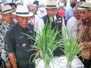 Ridwan Kamil Hadiri Panen Raya Benih Juara di Subang bupati-Subang-dan-ridwan-kamil.jpg