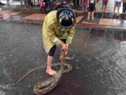 Damkar Banjar Evakuasi Ular Sanca Kembang 2,5 Meter di Depan Pendopo c1_z2_IMG_20221001_223314_-183942e9ee9_7_-183942ee080_1.jpeg