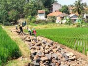 Warga Desa Gununtua Gotong Royong Buka Jalan Baru Tanpa Bantuan Dana Pemerintah jalan-baru-desa-Gununtua.jpg