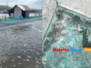 Harga Anjlok, Pelaku Tambak Udang di Pangandaran Terancam Gulung Tikar tambak-udang.jpg