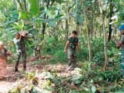 Prajurit TNI Bantu Nenek Cari Kayu Bakar di Lokasi TMMD Subang tmmd-subang-16.jpg