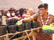 Anak Pramuka Ciamis Belajar Nanam Sayuran Bersama Nanang Permana Anak-Pramuka-Ciamis-Belajar-Nanam-Sayuran-Bersama-Nanang-Permana.jpg