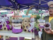 Brolendo, Brownies Galendo Oleh-oleh Khas Ciamis Brownies-Galendo-Oleh-oleh-Khas-Ciamis.jpg