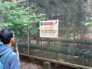 Program CSR Pertamina EP di Hutan Kota Ranggawulung Subang Terbengkalai CSR-Pertamina-EP-subang.jpg