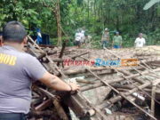 Diduga Lapuk Termakan Usia, Rumah Warga Linggasari Ciamis Ambruk Diduga-Lapuk-Termakan-Usia-Rumah-Warga-Linggasari-Ciamis-Ambruk.jpg