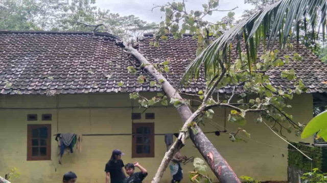 Disapu-Hujan-Angin-Pohon-Tumbang-Timpa-Rumah-Warga-Ciamis.jpg