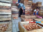 Harga Kebutuhan Pokok Terbaru di Pasar Banjar, Telur Lebih Mahal dari Daging Ayam Harga-Kebutuhan-Pokok-Terbaru.jpeg