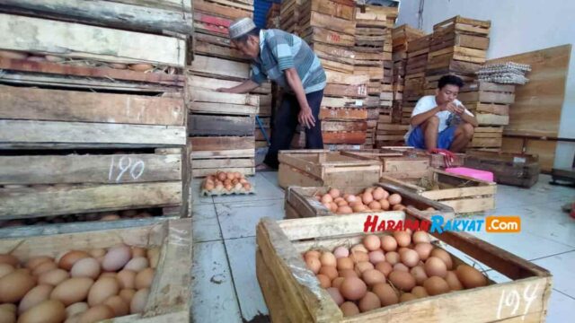 Harga-Kebutuhan-Pokok-Terbaru.jpeg