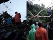 Hujan Deras di Kota Banjar, Rumah Warga Tertimpa Pohon Tumbang Hujan-Deras-di-Kota-Banjar.jpg
