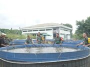 Aster KSAD Kagum Melihat Program Ketahanan Pangan Dandim 0605/Subang IMG-20221108-WA0009.jpg