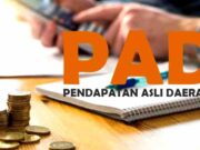 Capaian Target PAD Kota Banjar Masih Rendah, Akademisi Soroti Kinerja dan Ancaman Defisit Ilustrasi-Capaian-PAD.jpg
