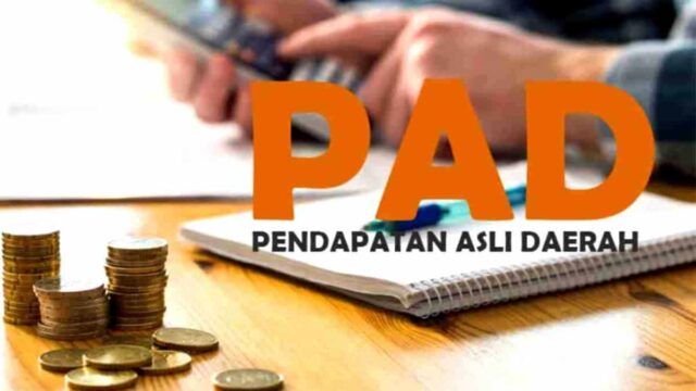Ilustrasi-Capaian-PAD.jpg