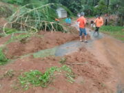 Longsor Tutup Jalan Raya Bangunjaya-Gunungkelir Pangandaran Longsor-tutup-jalan-raya-Bangunjaya-Gunungkelir.jpg