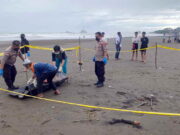 Mayat Misterius Ditemukan di Pantai Cimanuk Tasikmalaya, Kepalanya Hancur Mayat-Misterius-Ditemukan-di-Pantai-Cimanuk-Tasikmalaya.jpg