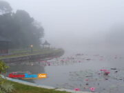 Mitos yang Masih Dipercaya di Objek Wisata Situwangi Ciamis Mitos-Situwangi-Ciamis.jpg