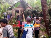 Pohon Durian Tumbang Timpa Rumah Warga Cipaku Ciamis Pohon-Tumbang.jpg