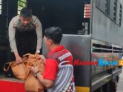 Polres Tasikmalaya Kirim Ratusan Paket Sembako untuk Korban Gempa Cianjur Ratusan-paket-sembako.jpg