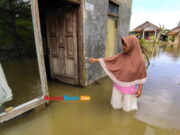 Sudah 9 Hari, 4 Rumah Warga Pangandaran Terendam Banjir Sudah-9-Hari-4-Rumah-Warga-Pangandaran-Terendam-Banjir.jpg