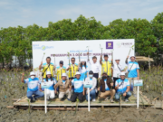 Blibli x Djarum Foundation Tanam 3.000 Bibit Mangrove Sejati wp-1669678197956.png