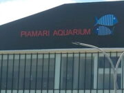 Aquarium Piamari Raksasa di Pangandaran Dibuka Pertengahan Desember Aquarium-Piamari-Raksasa-di-Pangandaran-Dibuka-Pertengahan-Desember.jpg