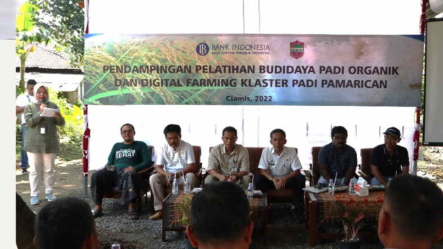 Digital-Farming-di-Ciamis-Permudah-Petani-Jalankan-Usaha-Tani.jpeg