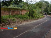 Duh, Drainase Jalan Kabupaten di Kawali Ciamis Ini Tersumbat Drainase-Jalan-Kabupaten-di-Kawali-Ciamis-Tersumbat.jpg