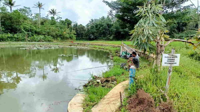 Dulu-Jadi-Lokasi-Favorit-Pemancing-Kini-Situ-Cimonteng-Ciamis-Sepi-Pengunjung.jpg