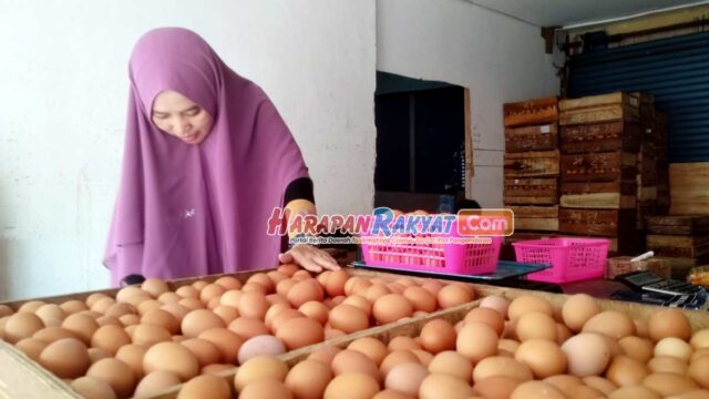 Harga-Telur-Ayam-di-Pasar-Banjar-Naik-Lagi.jpg