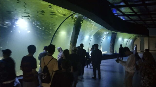 Ini-Kelebihan-Aquarium-Indonesia-yang-Ada-di-Pangandaran-Wisatawan-Wajib-Berkunjung.jpg