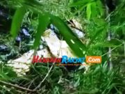 Kecelakaan Maut di Garut, Truk Box Terjun ke Jurang, 3 Korban Terjepit Kendaraan Laka.jpg