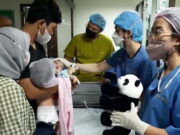 Dokter RHSH Bandung Operasi Pemisahan Bayi Kembar Siam Operasi-Pemisahan-Bayi-Kembar-Siam.jpeg