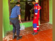 Panik Ular Kobra Masuk Rumah, Petugas Damkar Banjarsari Ciamis Turun Tangan Panik-Ular-Kobra-Masuk-Rumah-Petugas-Damkar-Banjarsari-Ciamis-Turun-Tangan.jpg