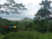 Pasir Heunceut Akan Jadi Agrowisata, Ini Kata Dispar Ciamis Pasir-Heunceut-akan-jadi-agrowisata.jpg