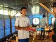 Harga Daging Ayam Potong di Tasikmalaya Merangkak Naik Jelang Nataru Peternak-Ayam.jpg
