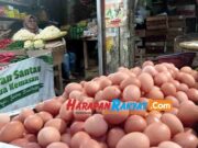 Harga Telur Ayam Melonjak, di Pasar Manis Ciamis Tembus Rp 32 Ribu Perkilo Telur-Ayam.jpg