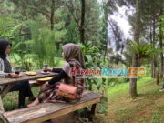 Wisata Alam Darmacaang Ciamis, Rekomendasi Liburan Keluarga Wisata-Alam-Darmacaang-Ciamis-Rekomendasi-Liburan-Keluarga.jpg